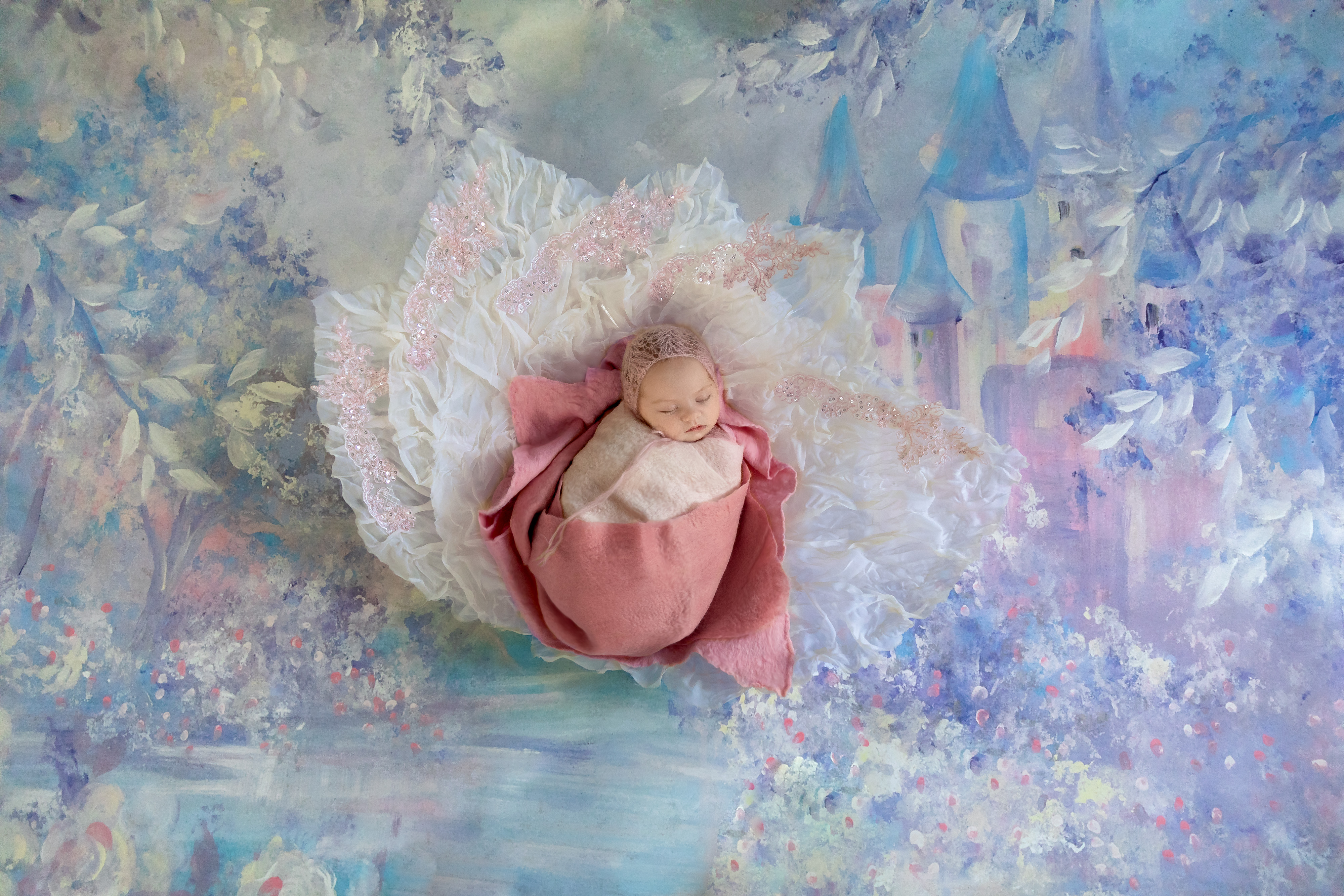 princess theme newborn photo session