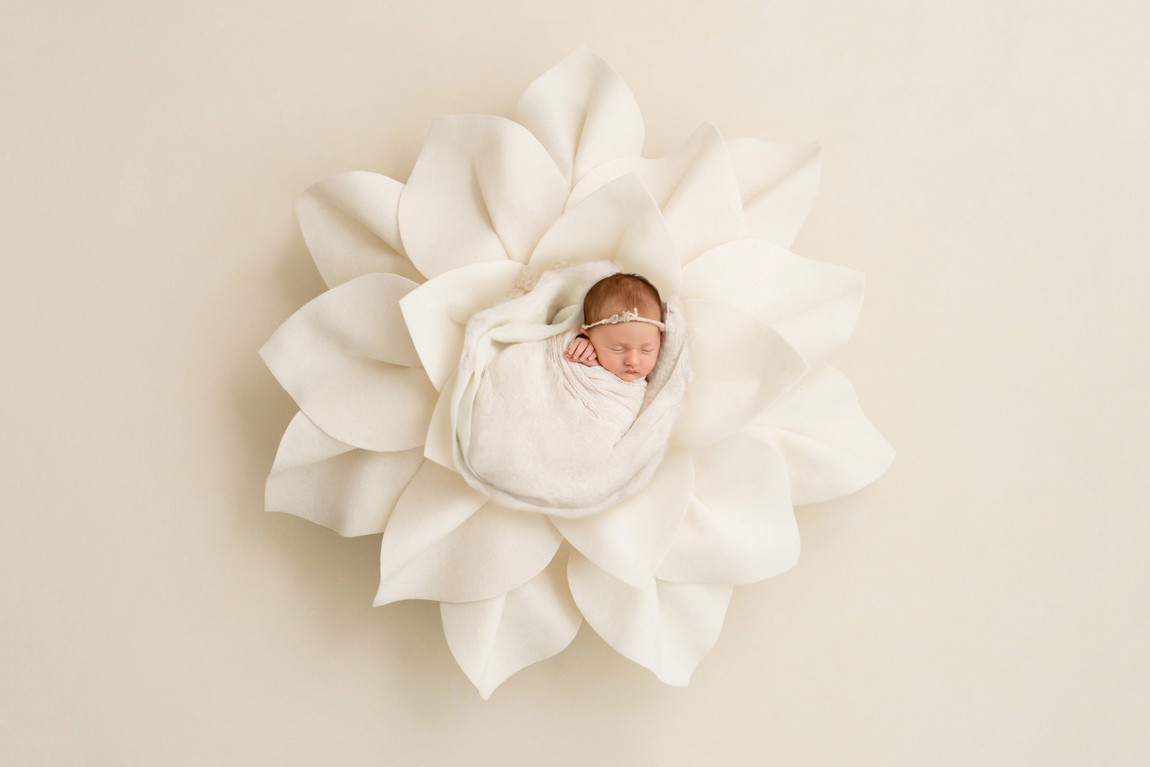 newborn portrait white felt flower